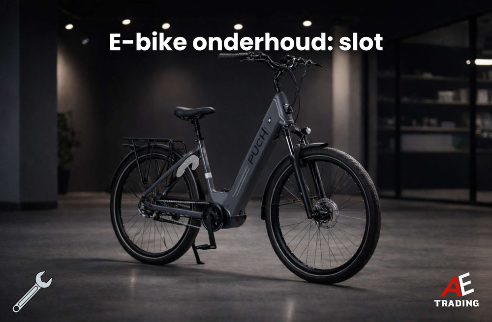 E-bike onderhoud: slot AE-trading