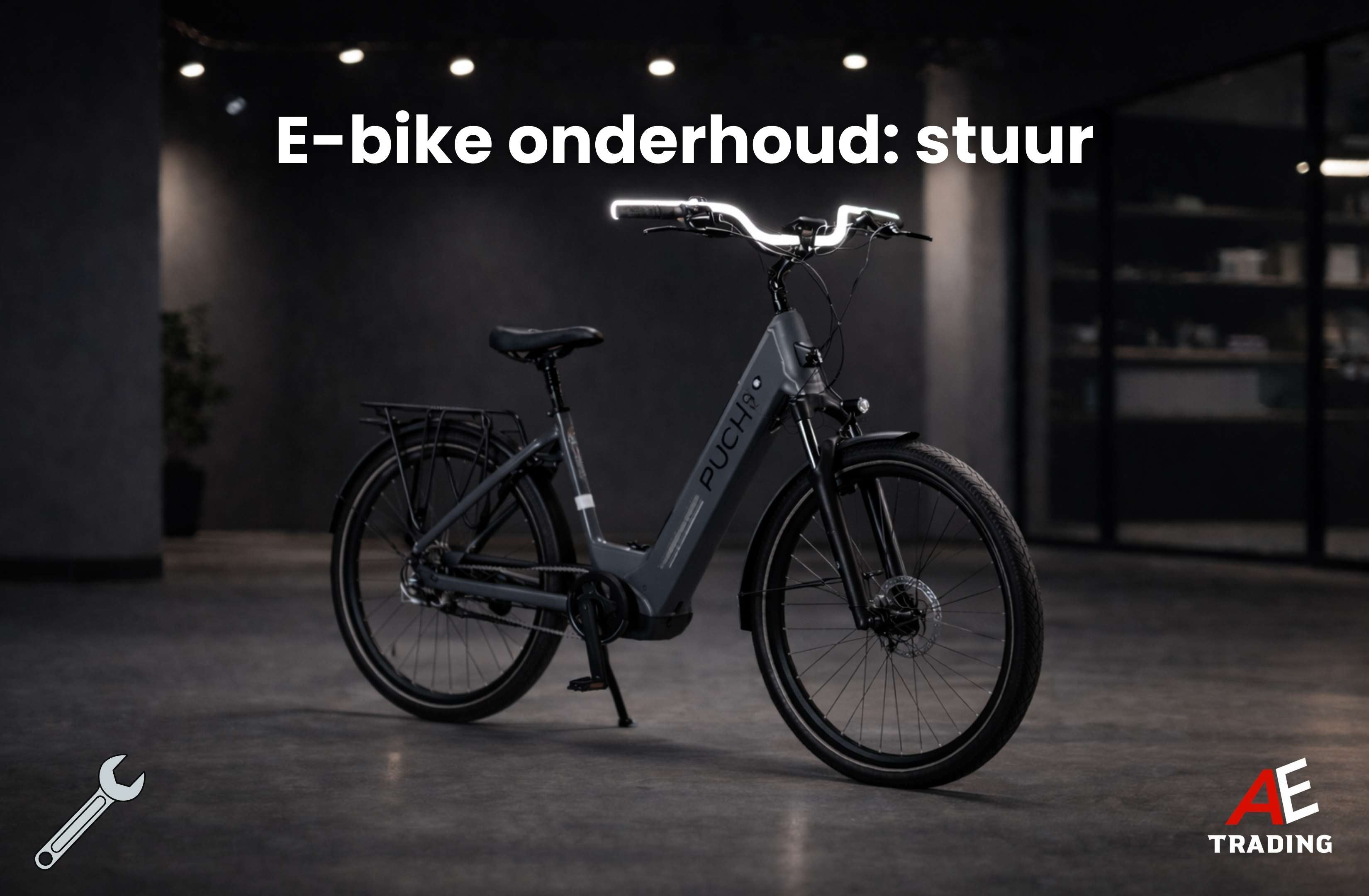 E-bike onderhoud: sturen en handvatten AE-trading