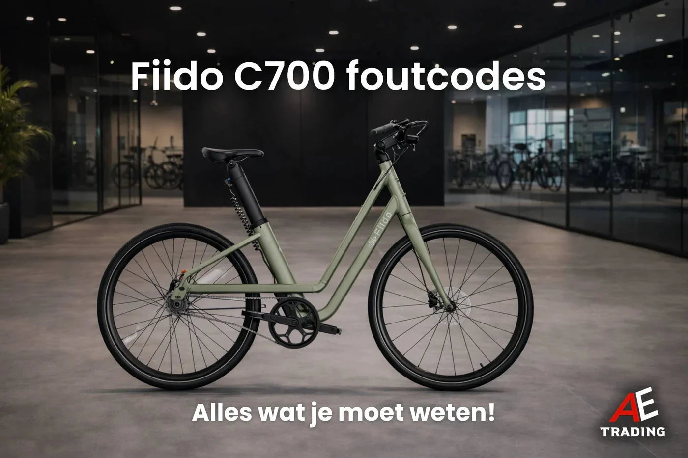 Fiido C700 Foutcodes blog AE-trading