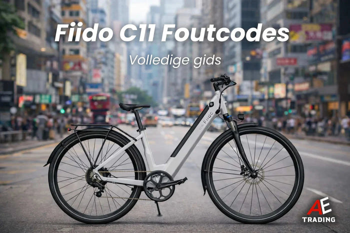 Fiido C11 Pro blogpost