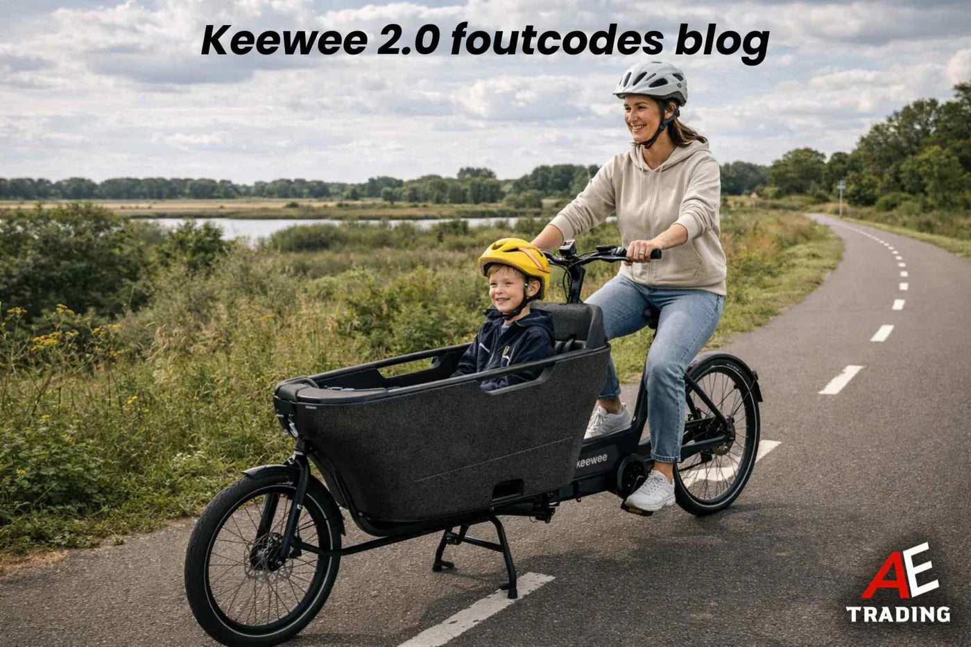 Keewee 2.0 foutcodes blog AE-trading