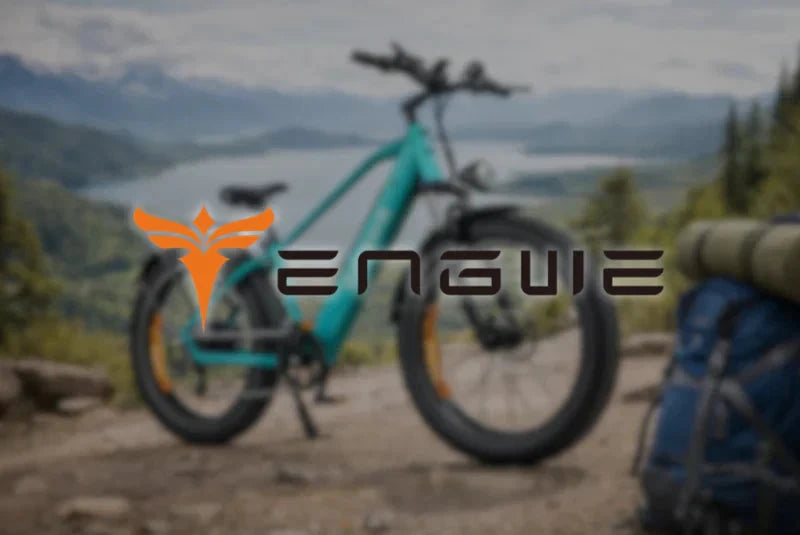 Merken bij AE-trading: Engwe AE-trading