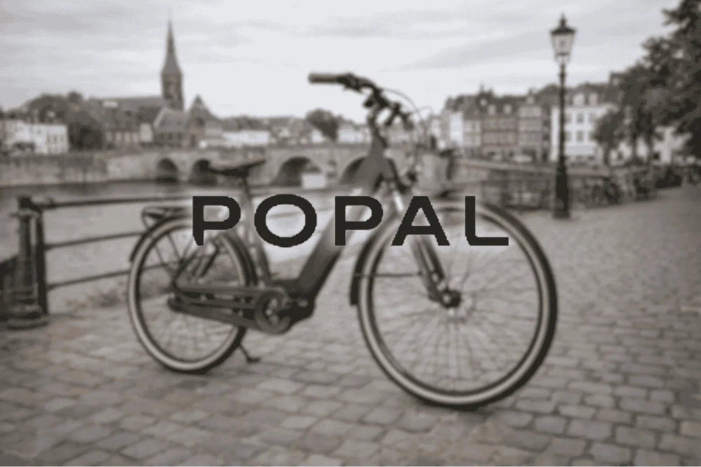 Merken bij AE-trading: Popal AE-trading
