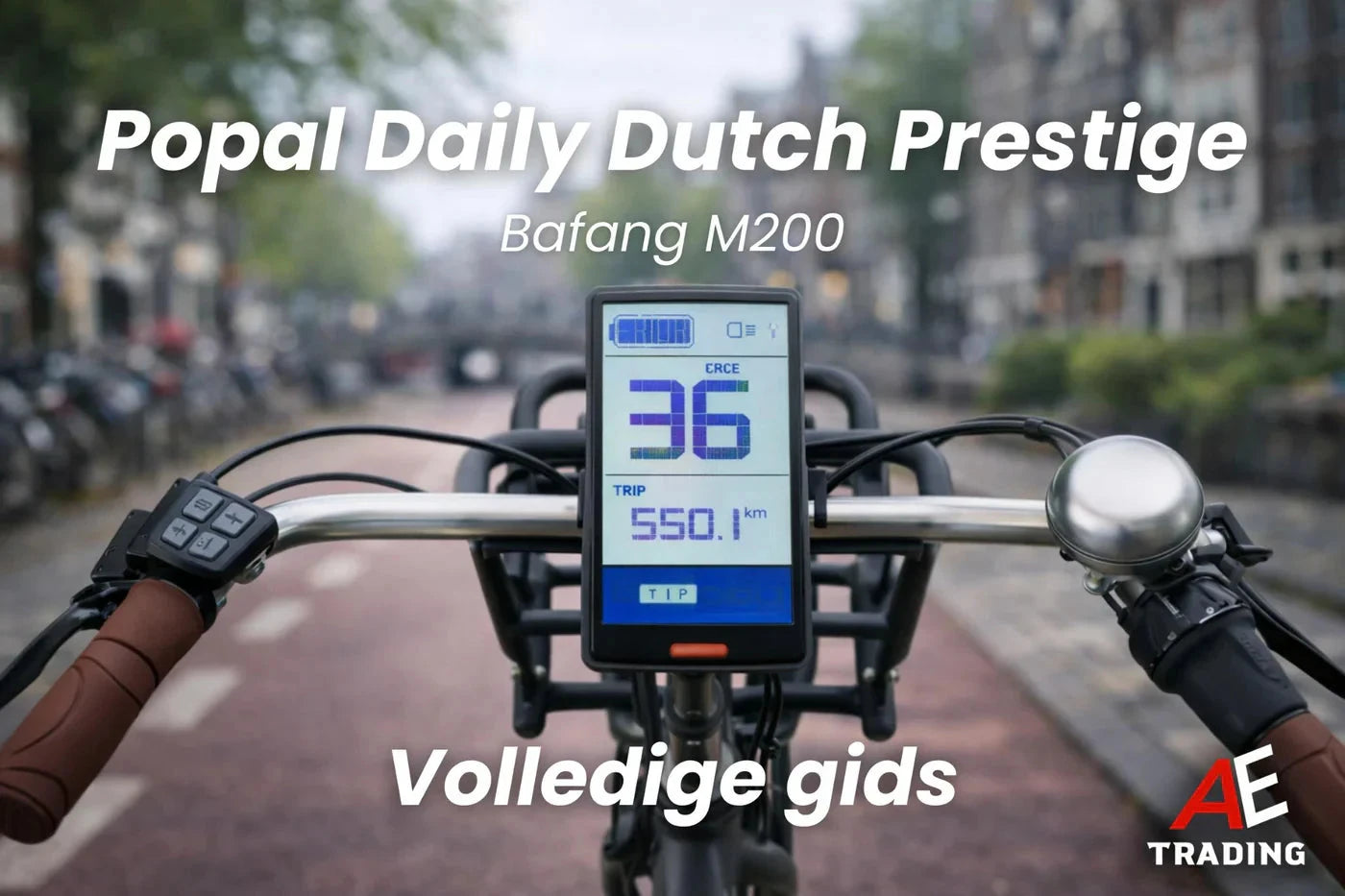 Popal Daily dutch prestige foutcodes blog AE-trading