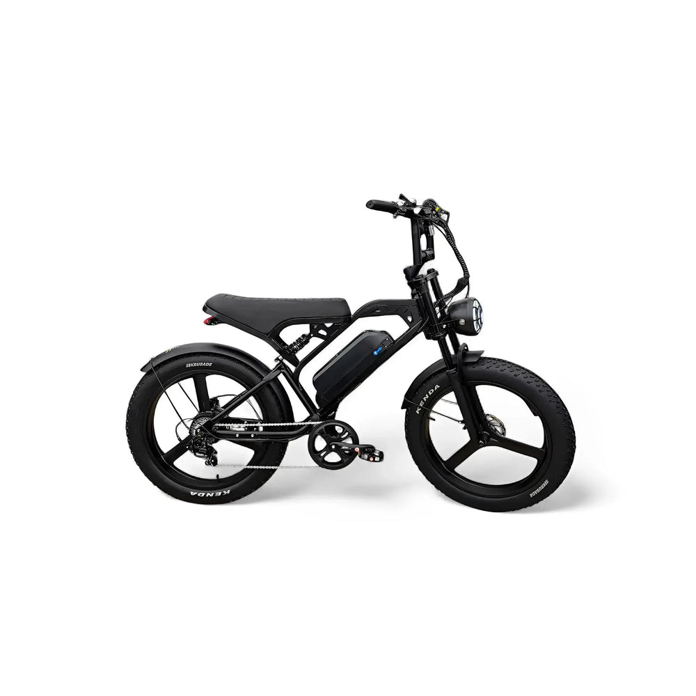 QmWheel V20 Pro Max review (2026): de 24 inch fatbike getest AE-trading