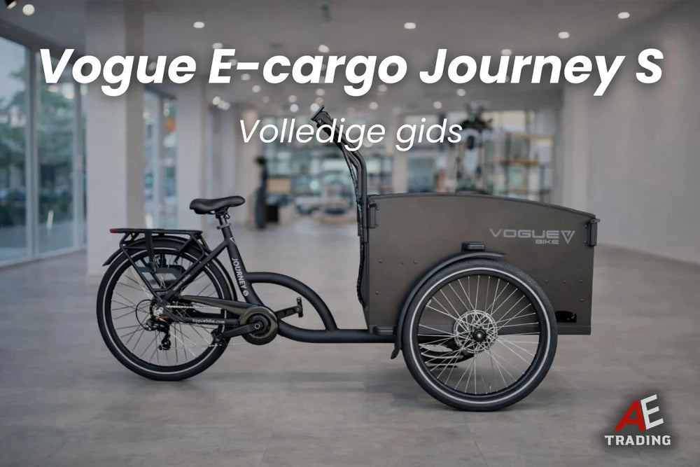 Vogue E-Cargo Journey S Foutcodes blog AE-trading