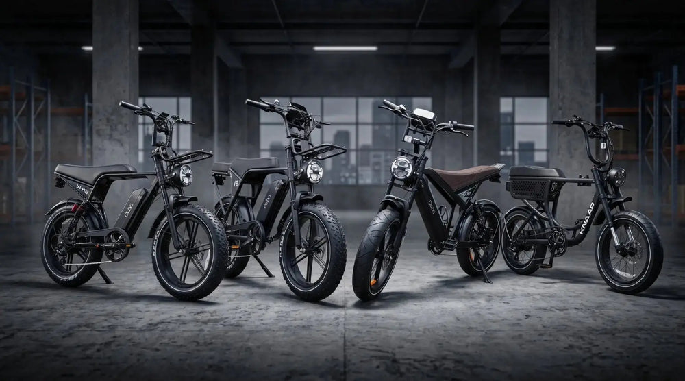Welke fatbike past bij mij? AE-trading
