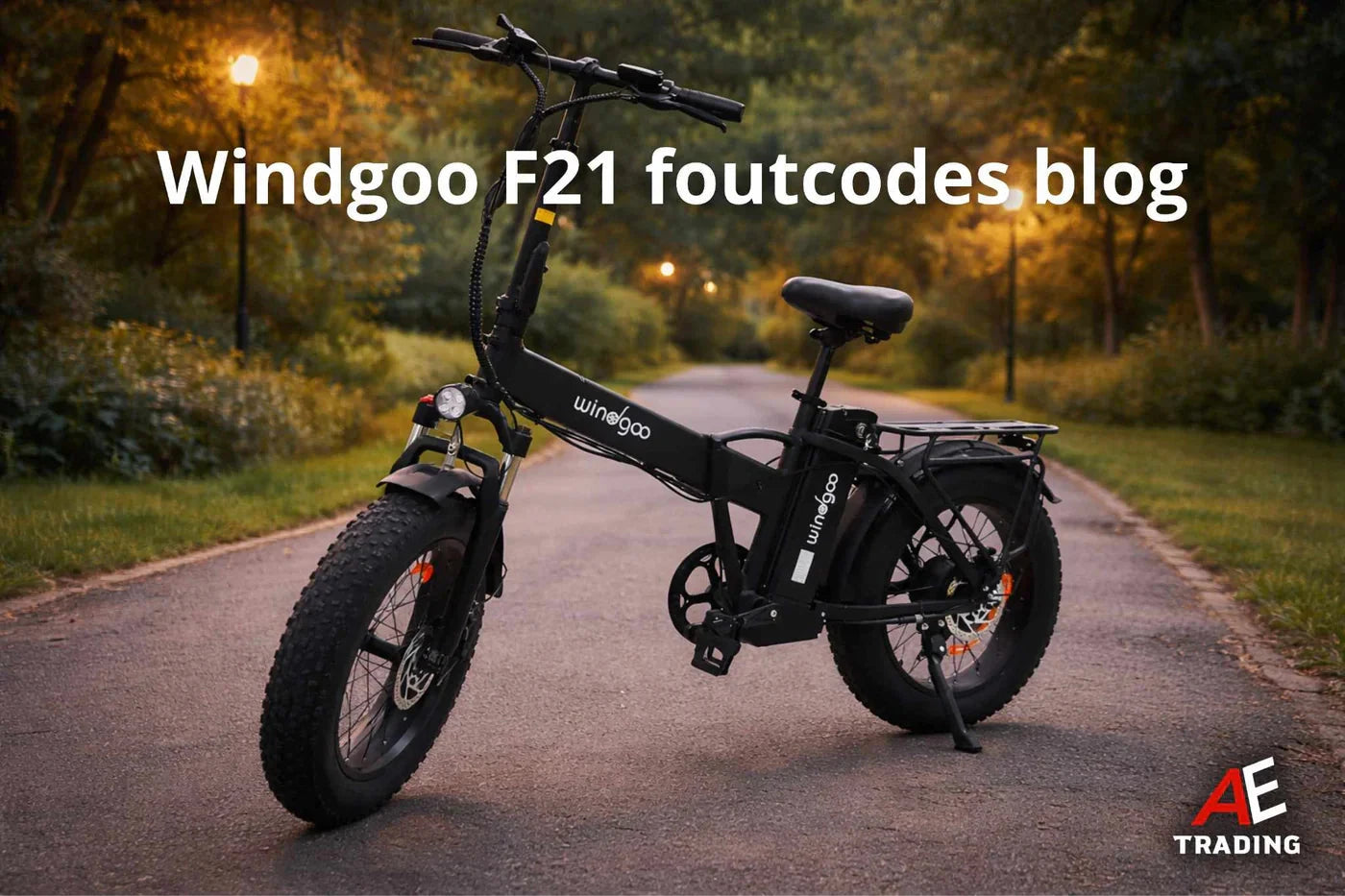 Windgoo F21 Pro foutcodes blog AE-trading