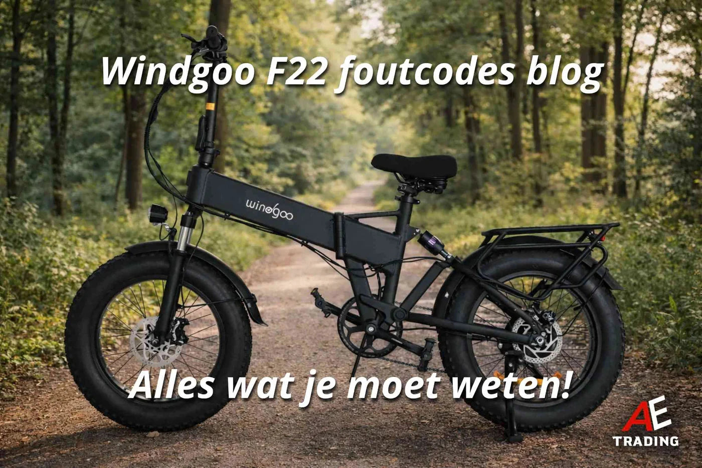 Windgoo F22 Pro foutcodes blog AE-trading