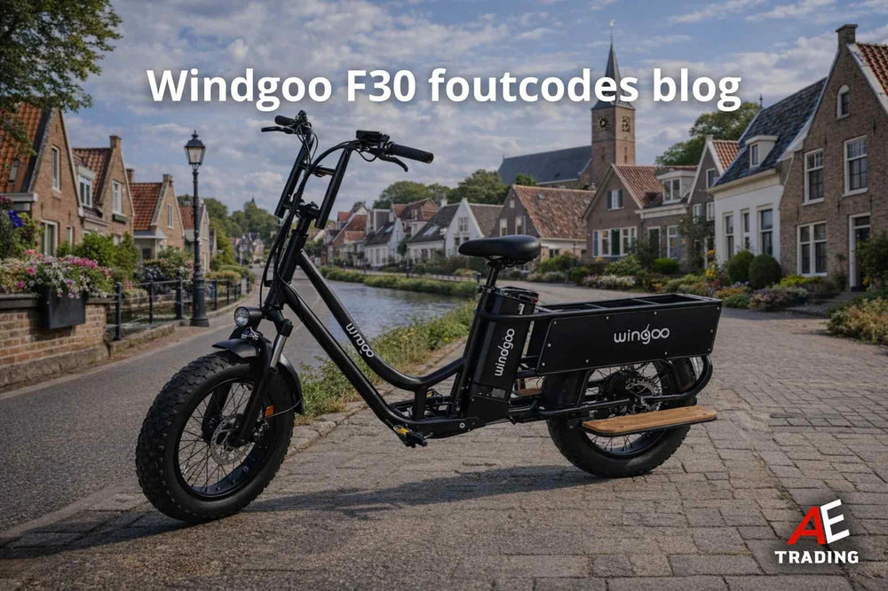 Windgoo F30 Foutcodes blog AE-trading