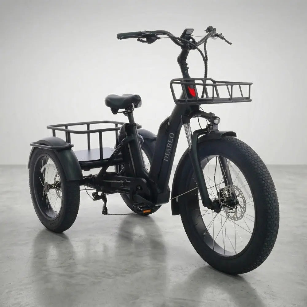 Elektrische-Driewielers AE-trading