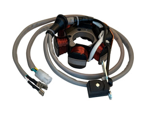 Stator Magneti Marelli | Piaggio 2T - AE-trading