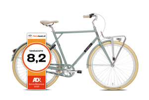 BSP Gaev Herenfiets XL Hazy California Staal Frame Retro Design - AE-trading