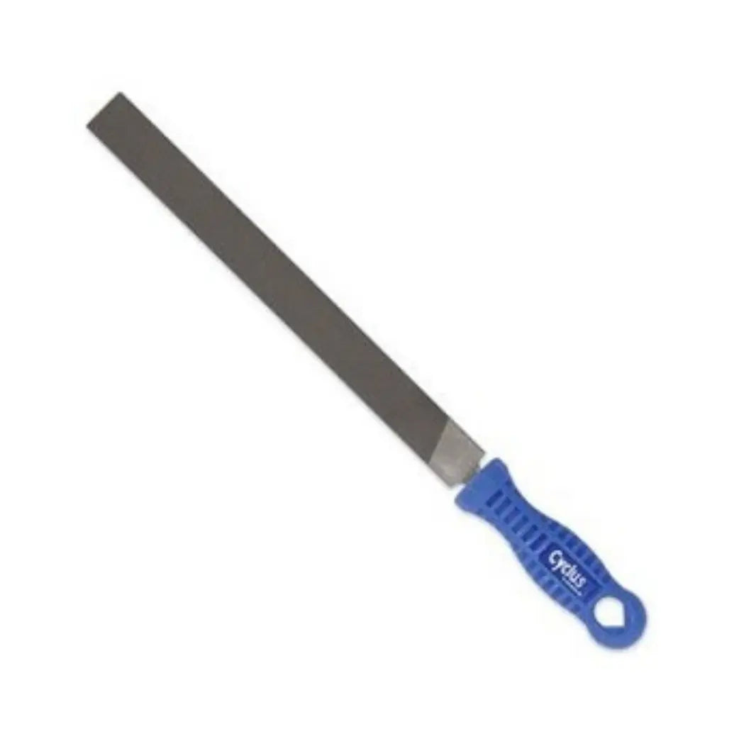 Cyclus Tools Vijl vlak 250mm - AE-trading