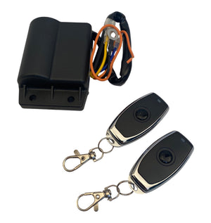 Begrenzer Imitatie met Afstandsbediening | Vespa / Piaggio 4T 3V iGET - AE-trading