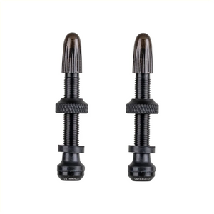 Schwalbe Tubeless ventiel (Frans) 40mm, per 2 - AE-trading