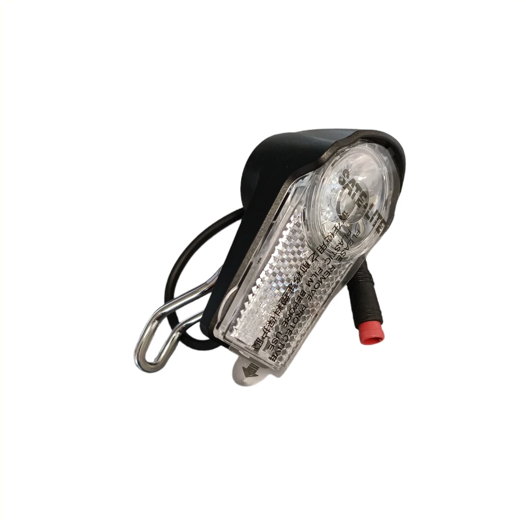 Voorlicht Delivery E-bike 21/22 - AE-trading