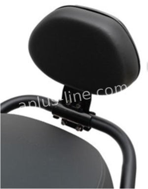 Rugsteun Aplus Passend Op Segway E Series Zwart - AE-trading