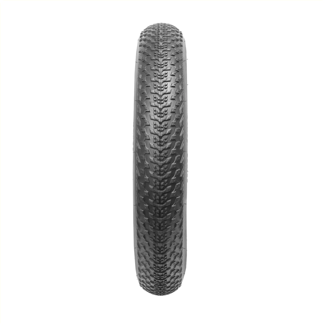 Buitenband: Kenda Gigas kleur: zwart zonder reflectie Maat: 26x4.00, ETRTO 100-559 - AE-trading