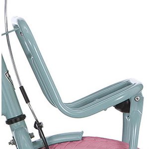 Alpina voordrager 22 Clubb soft mint - AE-trading