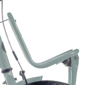 Alpina voordrager 22 Clubb soft mint matt - AE-trading