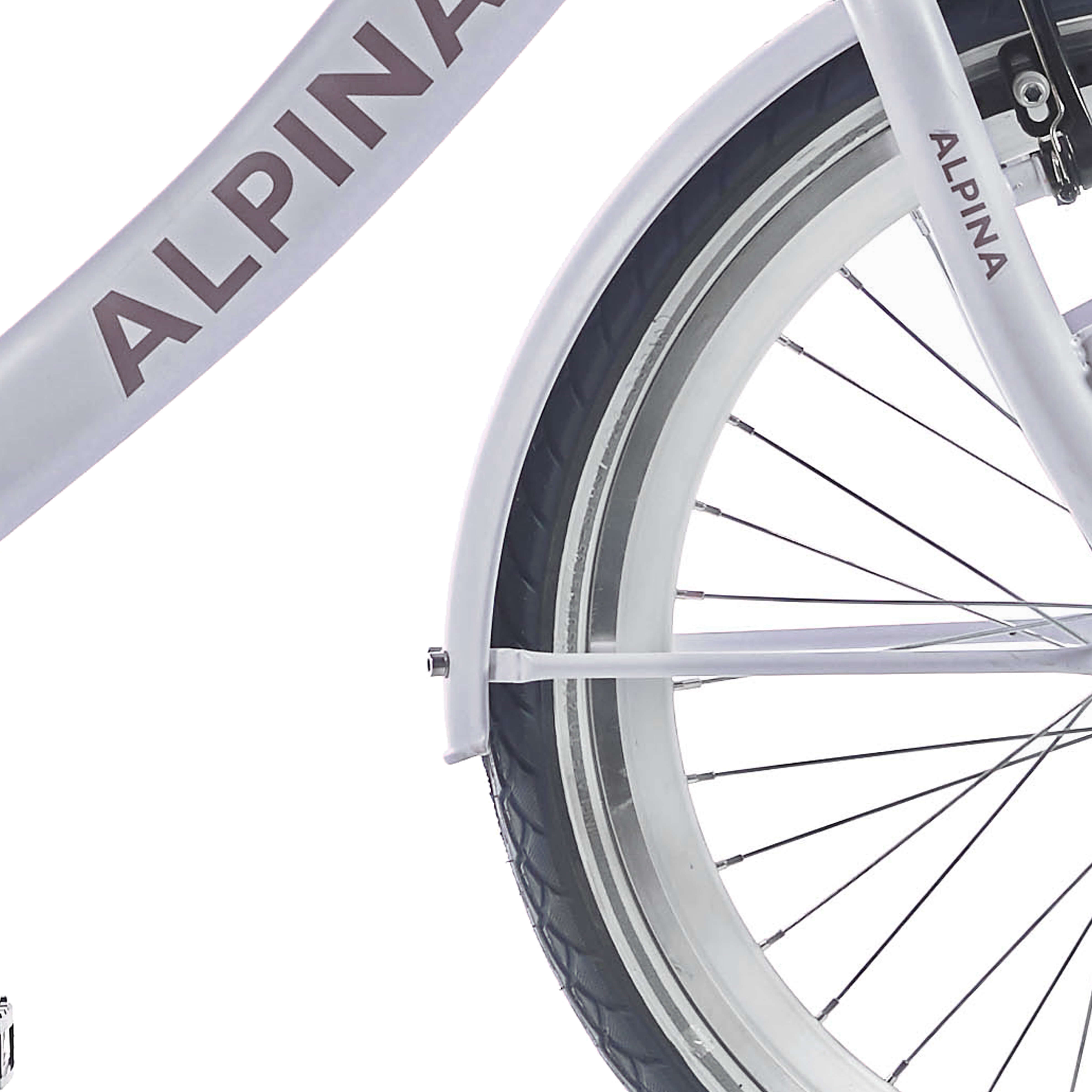 Alpina spatbord set 22 Clubb frosty pink matt - AE-trading