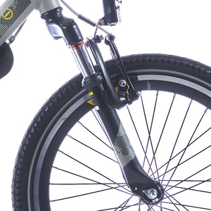 Alpina verende voorvork 22 Trial black matt - AE-trading