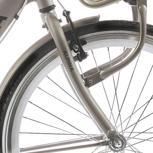 Alpina voorvork 26 Clubb gold met matt - AE-trading