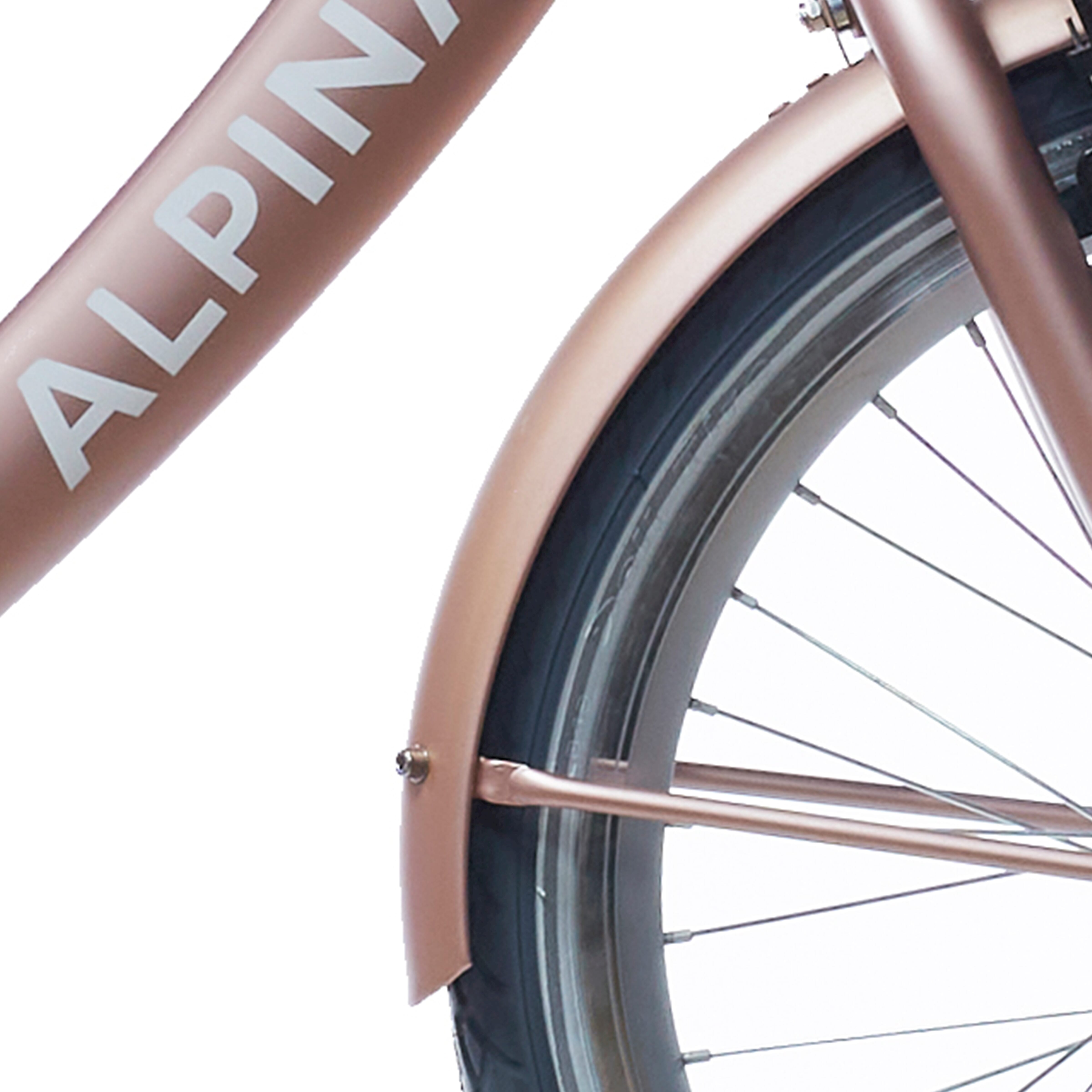 Alpina spatbord set + stang 20 Clubb rose gold matt - AE-trading