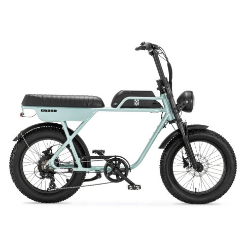 AGM GT250 - Fatbike - 12.8Ah - Grijs Parelmoer - Hydraulische remmen - AE-trading