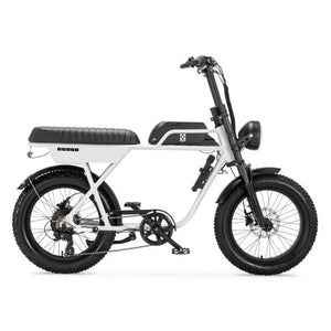 AGM GT250 - Fatbike - 12.8Ah - Wit - Hydraulische remmen - AE-trading