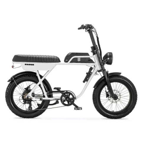 AGM GT250 - Fatbike - 12.8Ah - Wit - Hydraulische remmen - AE-trading