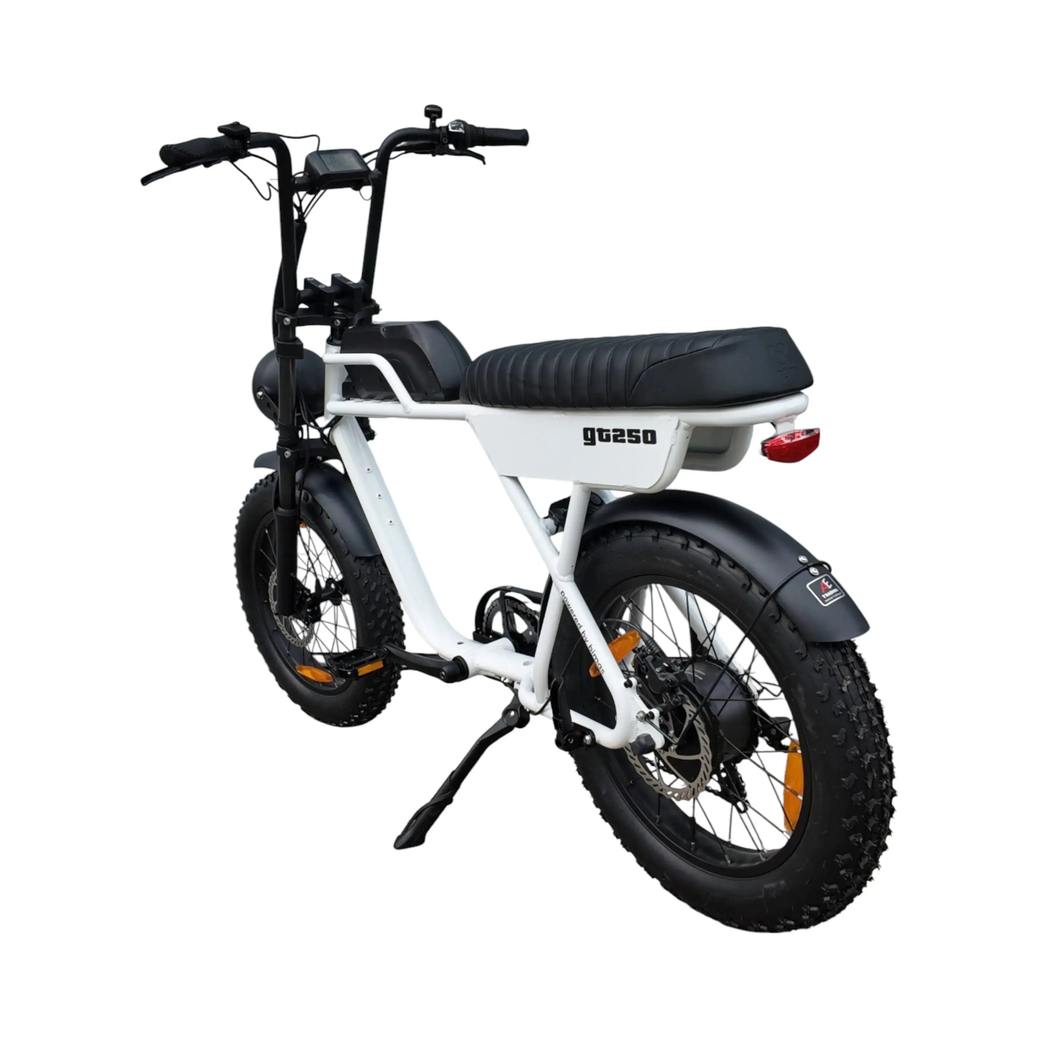 AGM GT250 Fatbike - Wit - 12.8Ah - AE-trading