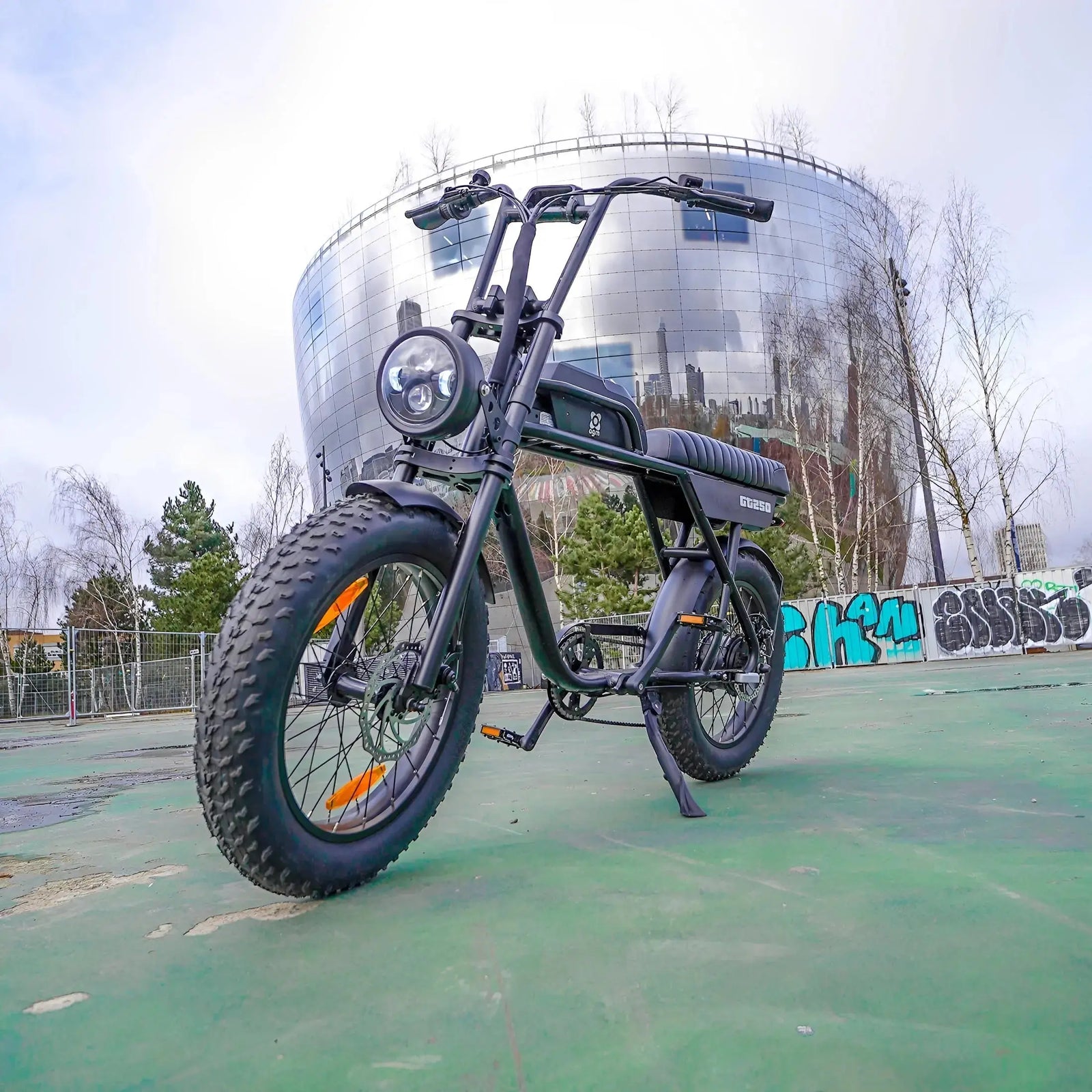 AGM GT250 Fatbike - Zwart - 12.8Ah - AE-trading