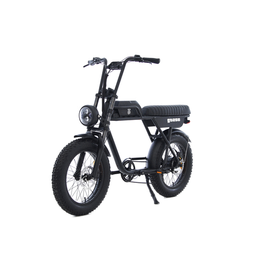 AGM GT250 Fatbike - Groen - 12.8Ah - AE-trading
