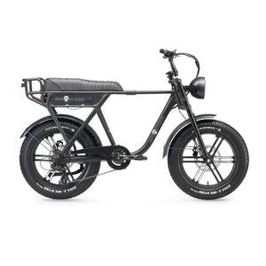 Ape Ryder A10 Pro - Fatbike - Zwart - 20x4.5 inch - Accu 36V 10Ah - 250W Achterwielmotor - Shimano 7 Versnellingen - Hydraulische Remmen