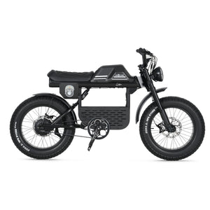Ape Ryder Gibbon - Fatbike - Mat Zwart - 20x4.5 inch - Accu 960Wh 48V, 20Ah - 250W Achterwielmotor - Hydraulische Remmen