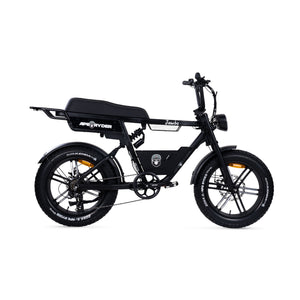 Ape Ryder Jambo - Fatbike - Mat Zwart - 20x4.5 inch - Accu 374Wh 48V, 7.8 Ah - 250W Motor - Shimano 7 Versnellingen - Mechanische Remmen