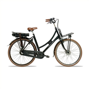 Avalon E-Cargo N7 - Mat Zwart - 50cm - 12Ah Accu - AE-trading