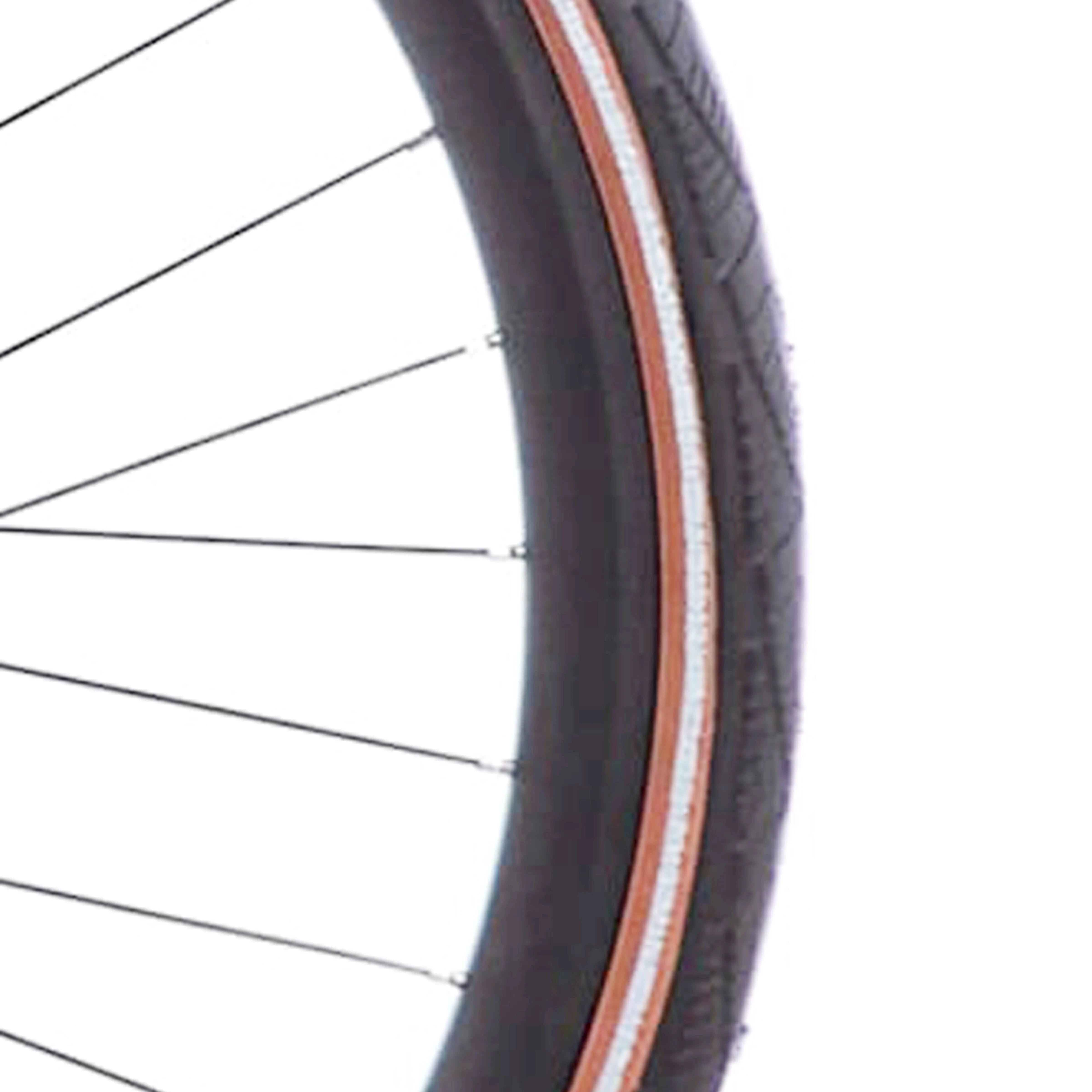 CST btb Antonov 28 x 1.60 zwart/bruin refl - AE-trading