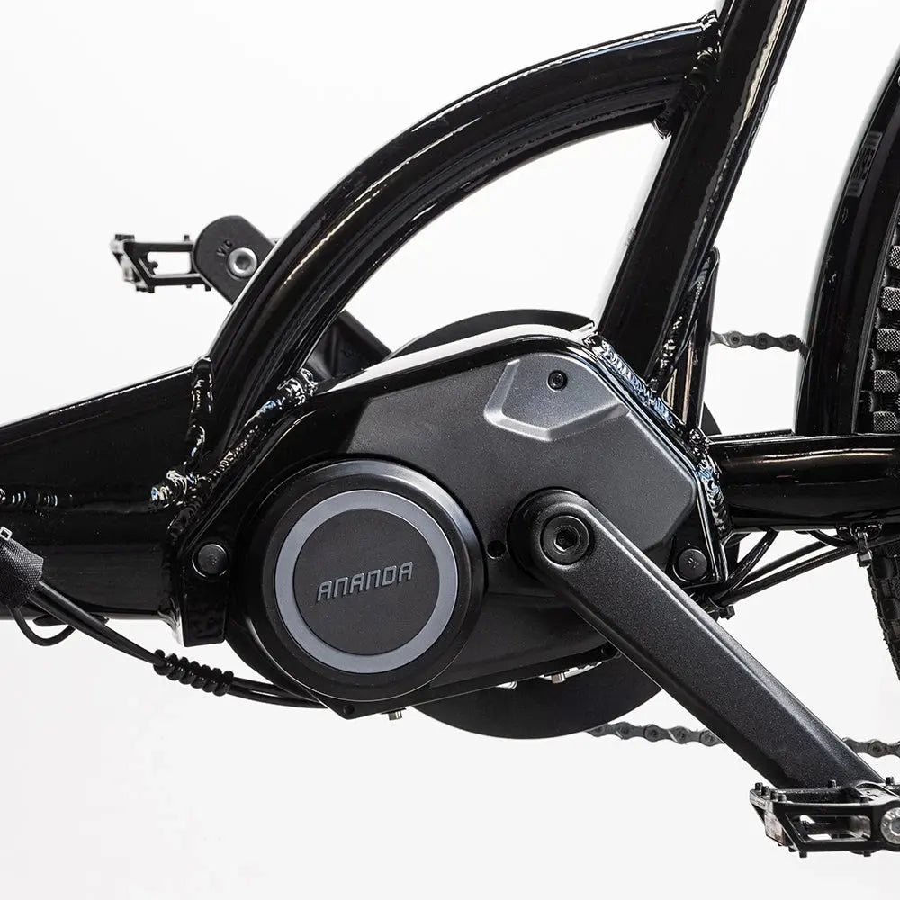 CargoBike of Sweden DeLight Bakfiets Elektrisch - AE-trading