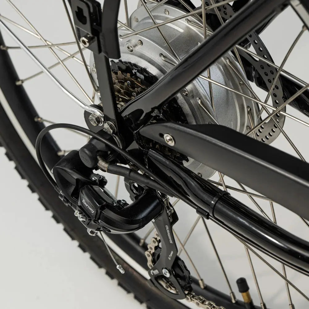 Classic CargoBike of Sweden Elektrische Bakfiets - AE-trading