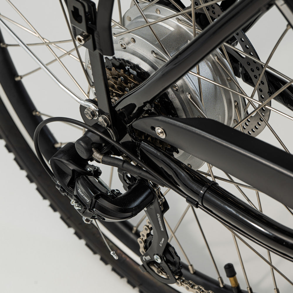 Classic CargoBike of Sweden Elektrische Bakfiets