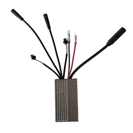 E-bike Controller Ananda P209 Rollerbrake geschikt voor Altec Fania/Easy Plus/Atlanta/Liberty/Venice/Milano - AE-trading