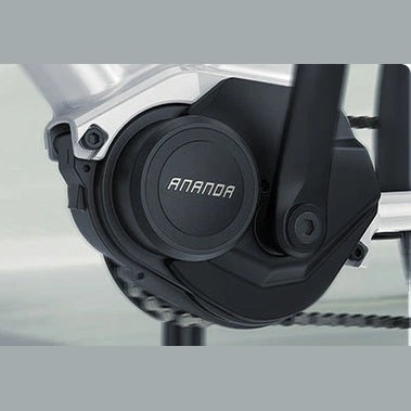 ENGWE P275 ST - Elektrische Fiets - Zwart - AE-trading