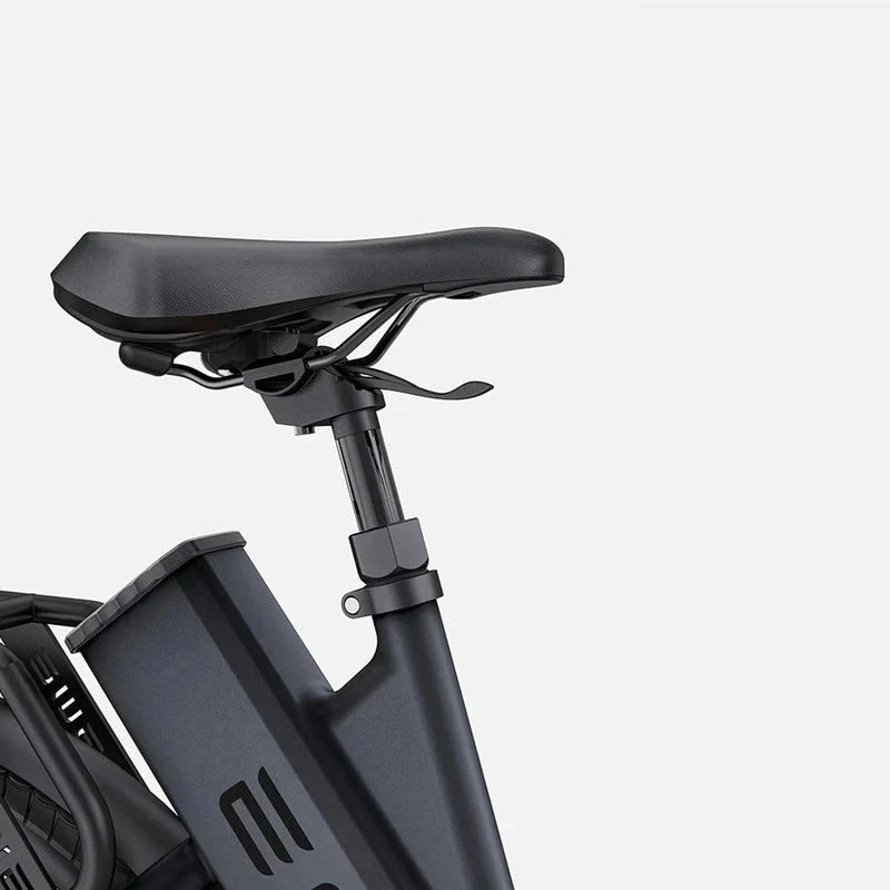 ENGWE P275 ST - Elektrische Fiets - Zwart - AE-trading