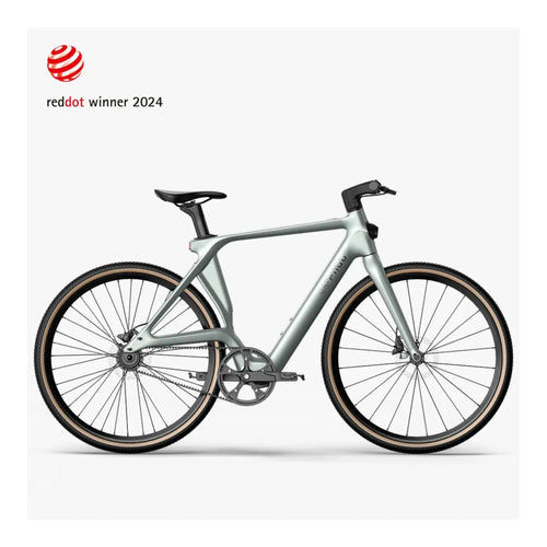 Fiido Air - Elektrische Fiets - Zilver - XL - AE-trading