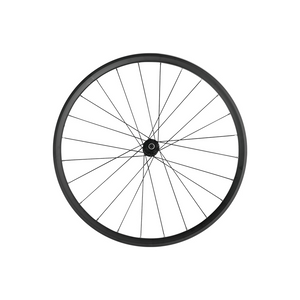 Fiido C11 Voorwiel 350W 36V Motor Wielen - Fietsonderdelen