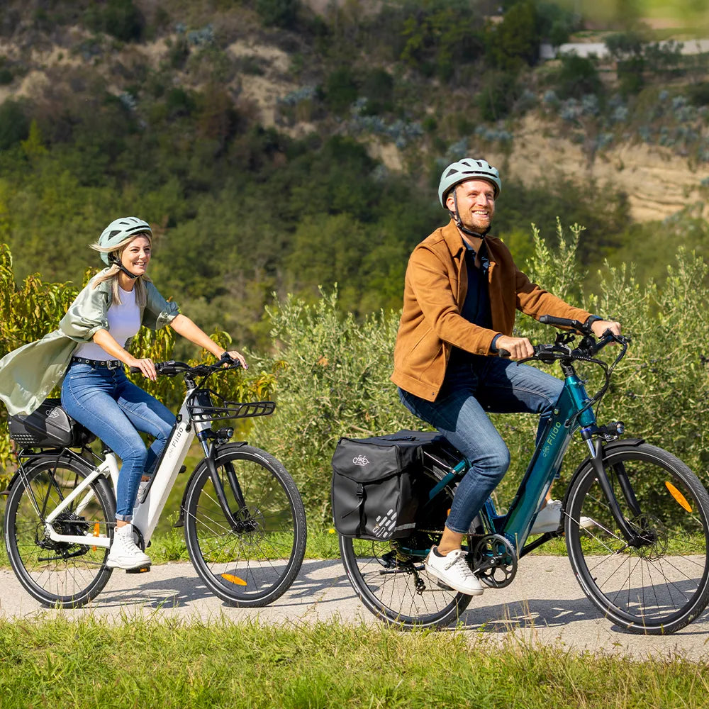 Fiido C11 - Elektrische Fiets – Smaragdblauw - 28 Inch - AE-trading