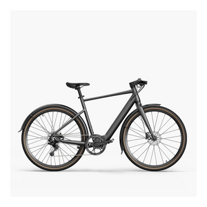 Fiido C21 - Elektrische Stadsfiets - Grijs - 28 inch - L 170cm - 195cm - Accu 209Wh 36V - 250W 40Nm Mivice Motor - 9 Versnellingen - Hydraulische Remmen